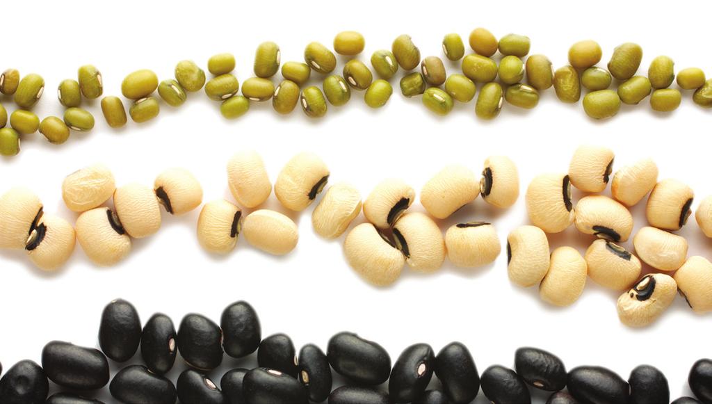 Beans & Peas Vegetable Subgroup Black Beans Black-Eyed Peas (Mature, Dry) Garbanzo Beans