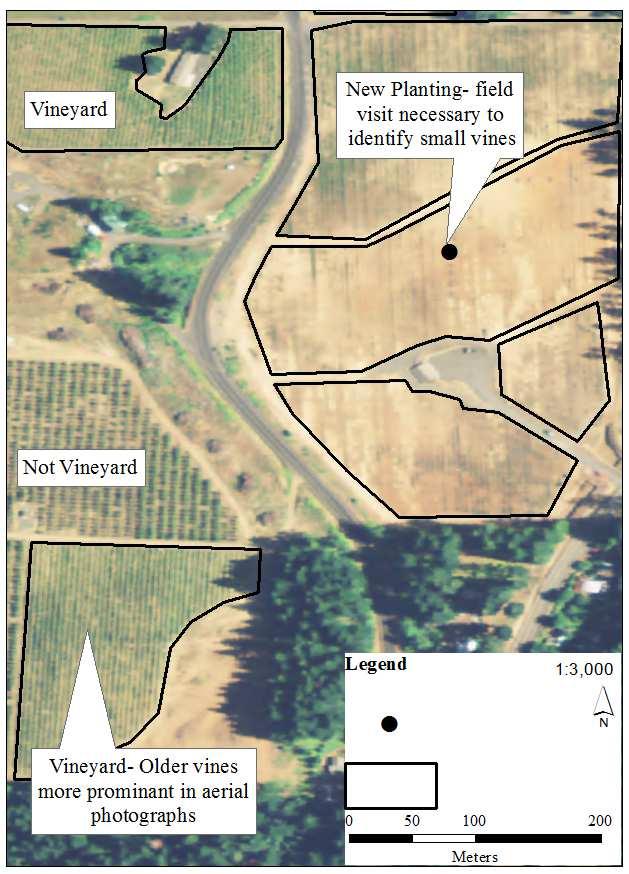 Figure 9. Aerial Photographs from the National Agriculture Imagery Program (NAIP) were used to trace vineyard boundaries once GPS locations were imported into Arc Map.