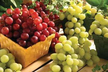 or Green Seedless Grapes