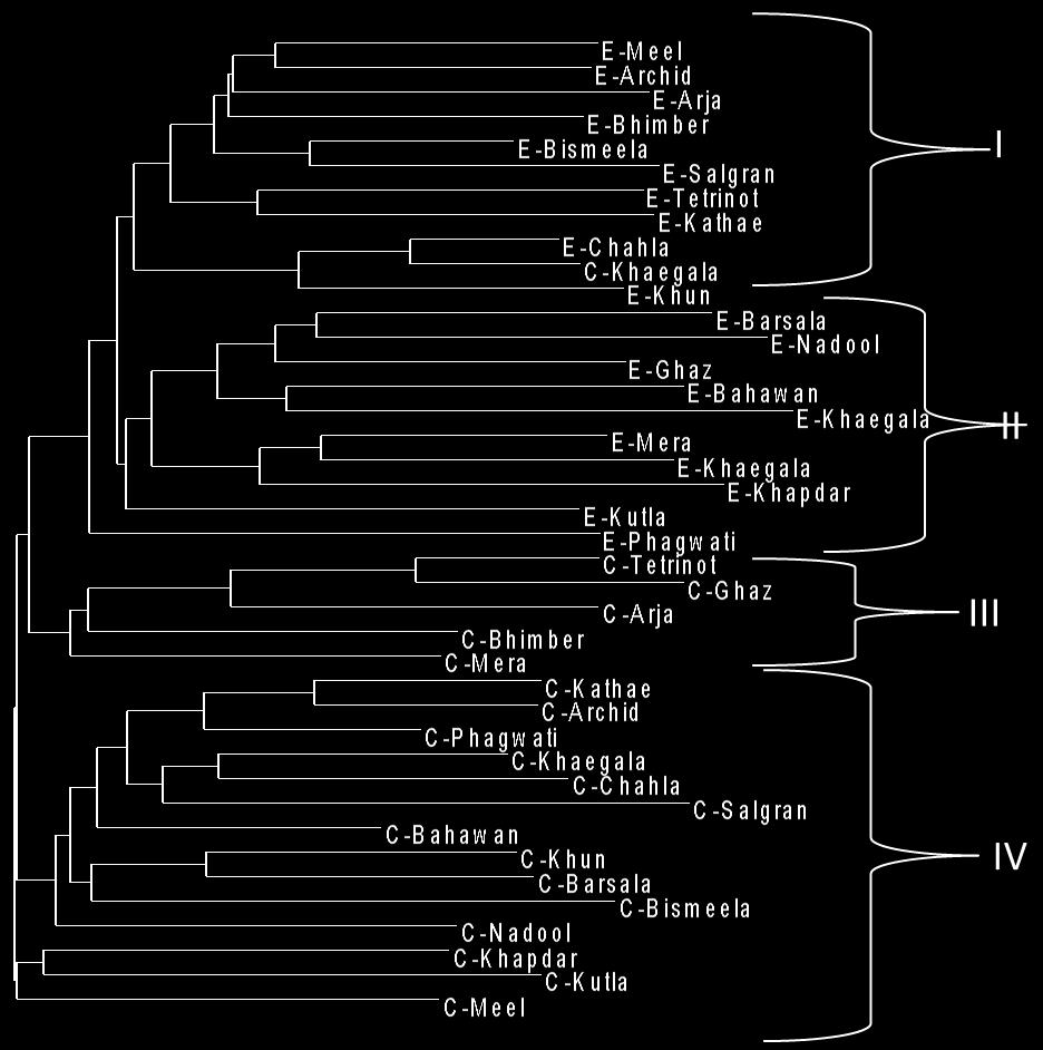 (Mekuria et al., 2002). Figure 2. Dendrogram revealing genetic variation between wild and cultivated olive of Azad Jammu and Kashmir based on AFLP and cluster analysis (UPGMA).