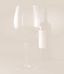 MENU de BAUTURI -DRINKS MENU Vin Rosu International-International Red Wine Franta - France J.P.