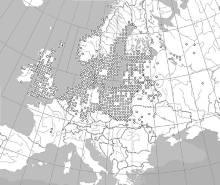 17 Anglijas urbānajā vidē un Skotijas dienvidos lielākoties sastopams R. rugosa bezdzeloņu hibrīds R. x hollandica, kas daudzviet audzēts potcelmu ražošanai. 5.attēls. R. rugosa izplatība Eiropā.
