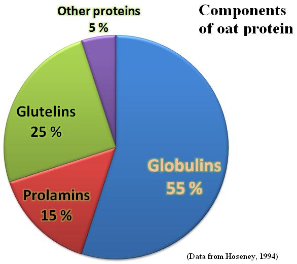 Background knowledge Oat globulins Physicochemical properties Native oat globulin: