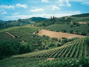 to experience a territory by tradition different from that of classic Barbera d Asti.