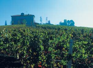 The Estate Pallavicini is the last vineyard established by the Marquis Pallavicini family extends over 16 hectares mainly cultivated in Brachetto.