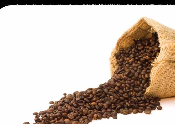 COFFEE SPECIALITIES Coffee Crema 2,40