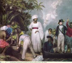 The voyage of the HMS Bounty, 1787-1789 -28 Oct 1788, reached Tahiti 5 mos. collecting & preparing 1015 breadfruit trees. -4 Apr 1789; set sail for West Indies -29 Apr 1789, mutiny.