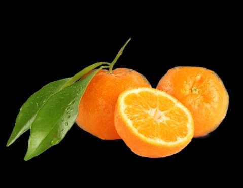 BRAIN BREAK FRESH FIND Citrus Orange