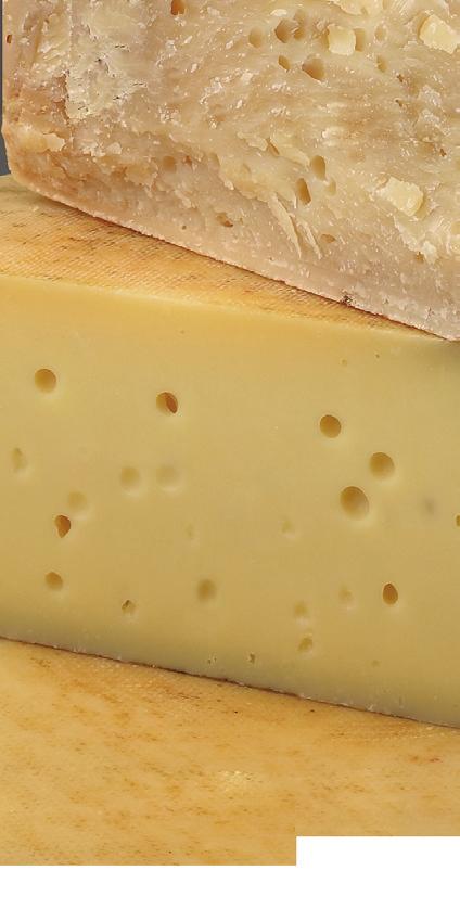 ASIAGO SEASONED by sight Straw or a light straw colour. The openness or eye formation is small to medium (less than 1 cm).