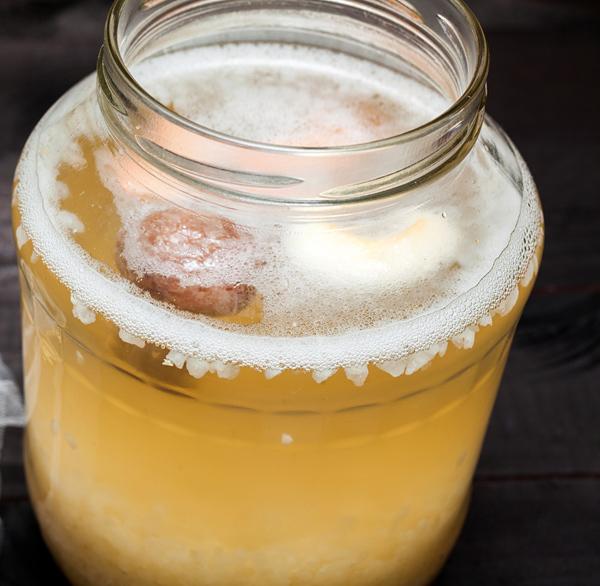 Your Water Kefir drink is ready in about 1 to 3 days depending on ambient temperature, amount of Kefir grains and other parameters. It takes a shorter time in summer and a longer time in winter.