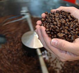 efficiency of their production. Becking coffee distances itself vehemently from the use of chemicals in their production process.