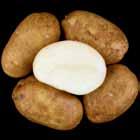 Reconditioned = relatively dark, non-uniform. A7769-4 Tubers: Oblong tubers. Good skin set; shallow eyes.