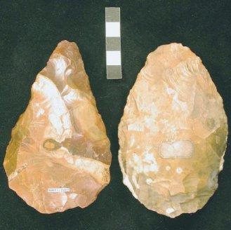 6 1.7 mya Earliest stone tools Probably made by Homo