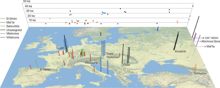 Paleolithic DNA of NW Eurasia Ust -shim: a 45-ky-old modern