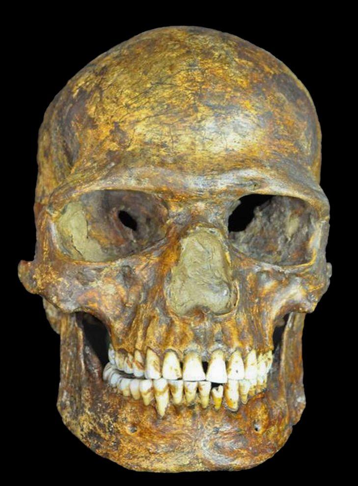 3% Neanderthal DNA in big chunks. mplies recent admixture (50 60 kya).