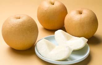 Pears of Hita through the four seasons Niitaka Hita pears are grown in a