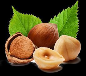 Piemonte Hazelnuts The Tonda Gentile variety of the Langa area is characterised by a very hard and completely full shell,