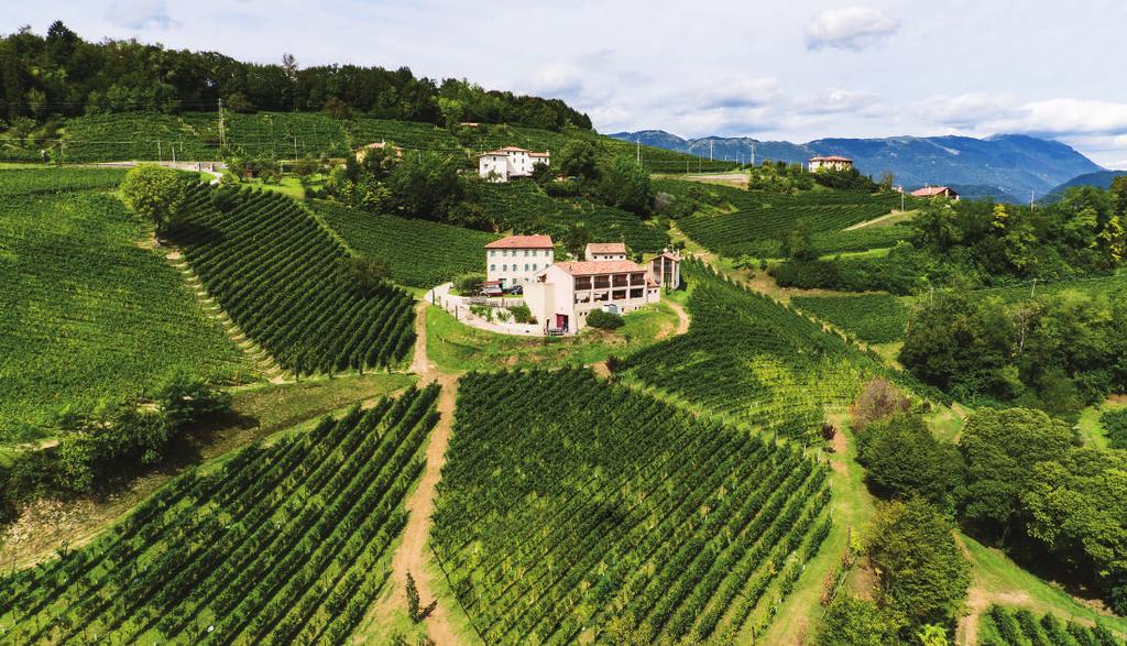 Rive Within Prosecco Superiore DOCG is a collection of crus called Rive (REE veh) which represent a higher quality and very rare subcategory in the Prosecco region.
