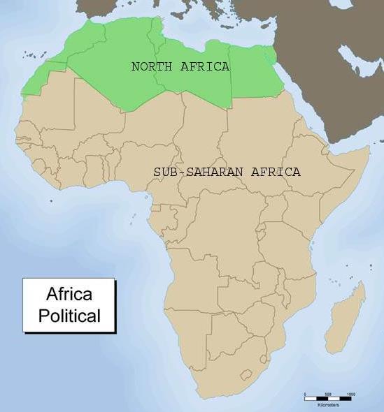 During the period 600 CE -1450 CE, Africa began to forge its social,