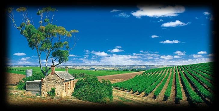 Covering twenty two wineries in South Australia where our experienced guide will take you to private tastings away from the large tour groups and immerse you in this world renowned