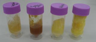 Non-uniform samples such as jam and fruit were sealed so as to ensure that the sample is in close contact with the quartz plate.