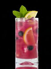 Top with sparking beverage. Garnish. Blueberry Hibiscus Lemonade Glass size: 16 oz. ½ oz. Monin Blueberry Fruit Puree ½ oz. Monin Hibiscus Syrup ½ oz. Fresh Lemon Juice 5 oz.