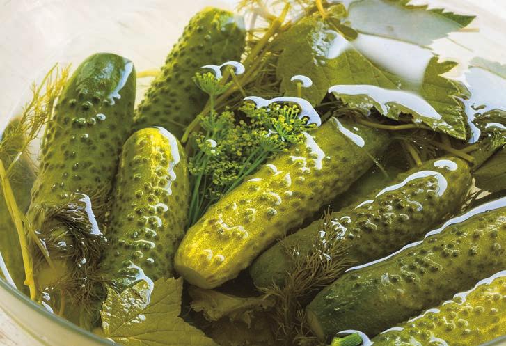 Sauerkraut Salted cucumbers In Livonian times cabbages were prepared for fermentation by cutting them into four pieces; nowadays they are finely grated into chips, generously sprinkled with caraway,