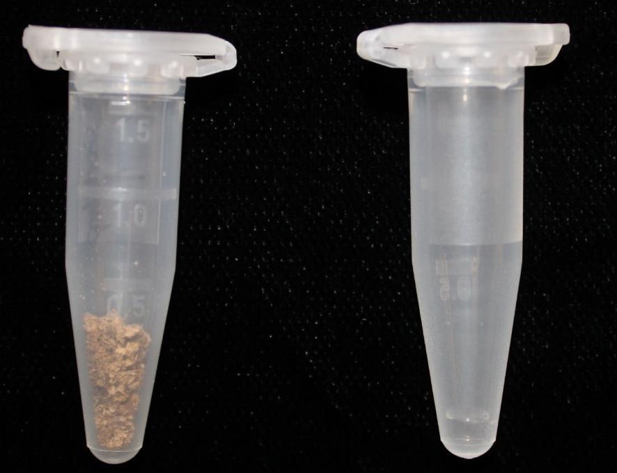 Figure 11. Batches of walnut drill shavings were collected into 1.