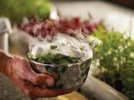 has its very own living herb garden. Try a trip to the garden and taste a selection of herbs including lemon meringue scraped with Lavender sorrel.
