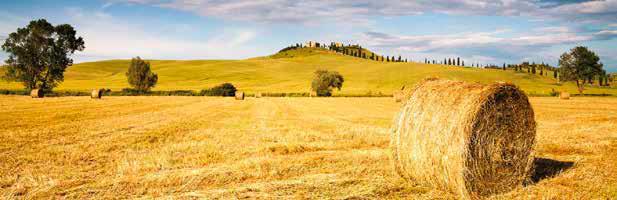 If someone wishes to send a postcard that is a perfect representation of their vacation in Italy, they often choose images of Tuscany: soft rolling hills,