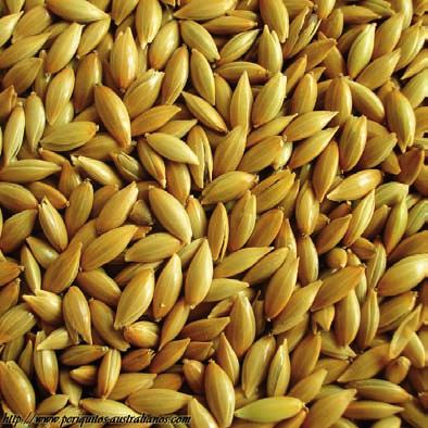 Grain Products List (3) BIRDSEED - (ALPISTE ) Purity: 100,0 % Common Foreign Matter, Shelled and Broken: máx.