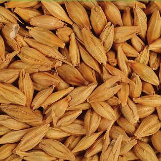 Grain Products List (4) FEED BARLEY -- (CEBADA FORRAJERA) Hectolifters or Test Weight Min (kg/hl): 56 kg/hl Damaged Grains: máx. 2,0 % Shelled and Broken Grains: máx.
