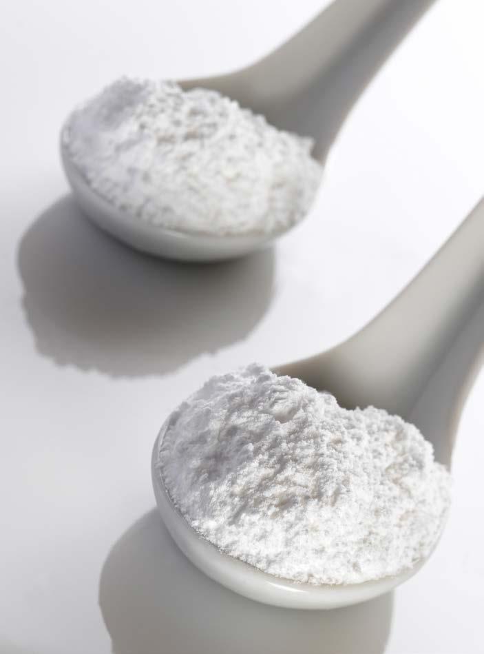 Fondant powder One of the leaders of sugar specialities, Couplet Sugars has been