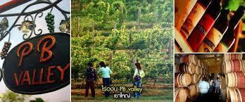 PB Valley Khao Yai Winery Khao Yai Winery sits amidst a lush 320- Hectare plantation, of which 80 hectares (500 Rai) is dedicated to growing grapes.