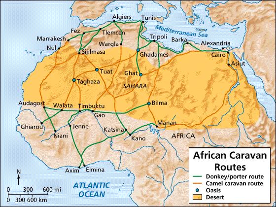 Trans-Saharan Trade Routes Trans-Saharan trade in gold and salt made the West African kingdoms of Ghana, Mali, and Songhai extremely rich.