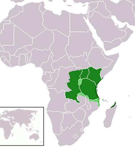 Islam In East Africa Islam spread slowly in East Africa. Islam arrived in the a.d. 700s, but the religion did not gain many followers until the 1100s and 1200s. A new society arose known as Swahili.