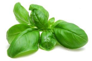 has been creating the worlds best pesto for generations.