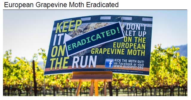11 European Grapevine Moth Eradicated This year we are highlighting the successful and unprecedented eradication of the European Grapevine Moth (EGVM) from Napa County and the entire State of