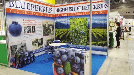Highbush blueberry 2016 world production 655 million kg Global overproduction has dropped prices Investments in