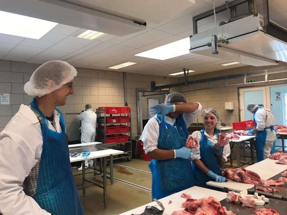 About me: -My name is Cintia Lovasi. I am 15 years old. I learn to be a butcher, I started my second year in September. - I like rock music, I have gothic style.