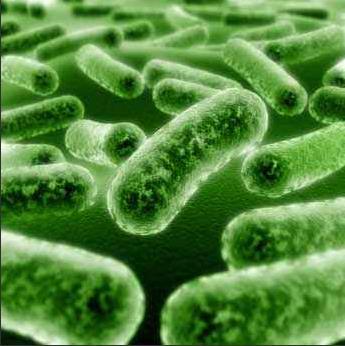 E-coli: - hard: 121-180 mg/l CaCO3 - very hard: 181- mg/l CaCO3 Mainly the bad hygiene cause this, because it live in the intestines