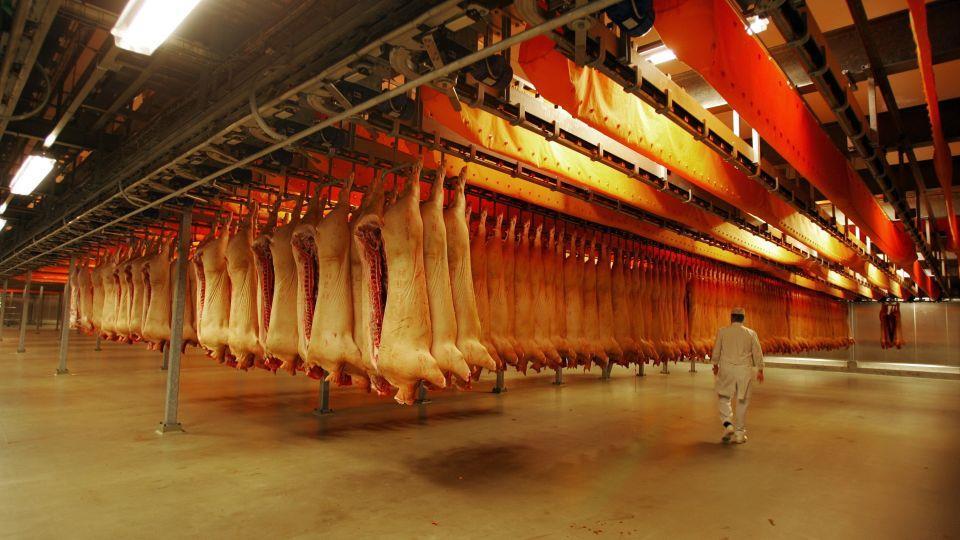 000 weekly cut) Industry knowledge - These slaughterhouses total 6000 workers.