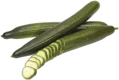 European Cucumbers / 3 98 ON