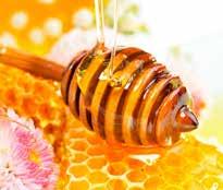 All of PIP s business activities were conducted under the slogan Everything related to beekeeping starts with the bees and, due to innovative access, the slogan between nutrition and pharmaceutics
