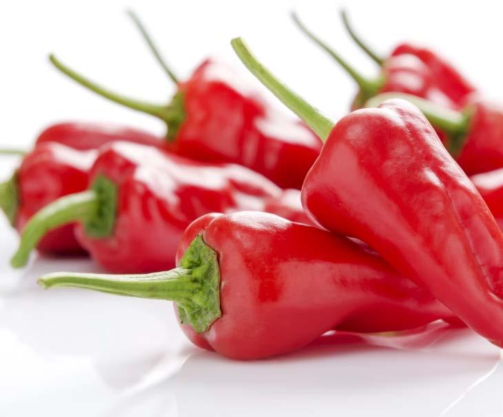 29 HOT 0497595 Chili, Type Tabasco Flavour Dosage: Declaration: 50 g : 100 kg (Ketchup) 40 g : 100 kg (Mayonnaise) Natural Flavouring,