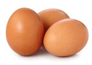 Medium Eggs Laid In Britain 1 x 60 Only 5.