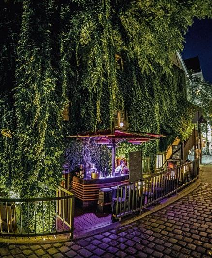 16 CHRISTMAS TIME AT PLATZL KARREE BODEN & BAR Pre-Christmas magic, out in the open air Instead of visiting a Christmas market, why not join us for an after-work glass of mulled wine or punch,