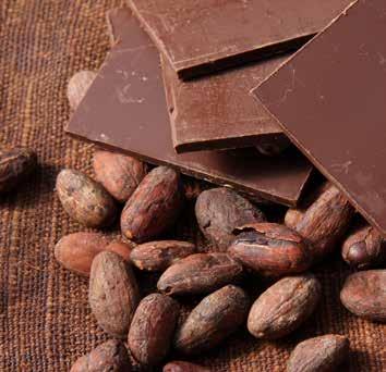 7% 5% 0% Bahrain Kuwait Oman Qatar Saudi Arabia United Arab Emirates Cocoa Beans & Shells Cocoa Paste Powder for Making Ice-Cream Containing Cocoa Cocoa Powder, Not Containing Added Sugar Coco Powder