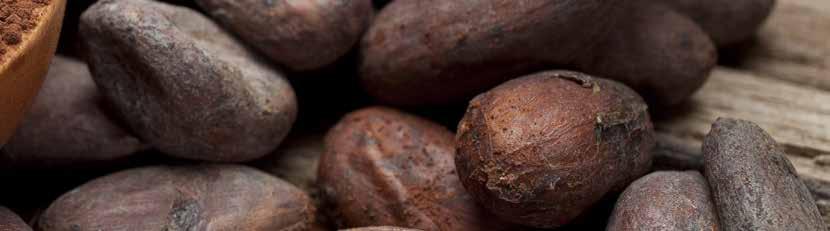 2.4.2 Sources of Imports The analysis of Qatar s cumulative cocoa imports from 2012 to 2017 amounting to 11,263 tons indicates that the Turkey (17.7%), Lebanon (13.3%), Belgium (8.2%), Egypt (7.