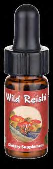 Wild Reishi Drops 100% wild Red Reishi mushroom, mountaincollected (Changbai Mountain, Manchuria) Classically called the Mushroom of the Immortals Used as a tonic for
